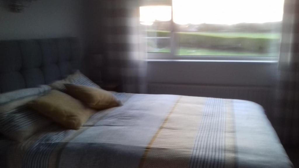 Bridgeview B&B room 1